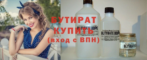 ГАЛЛЮЦИНОГЕННЫЕ ГРИБЫ Ельня