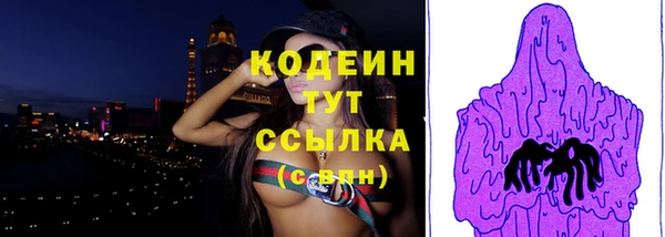 ГАЛЛЮЦИНОГЕННЫЕ ГРИБЫ Ельня