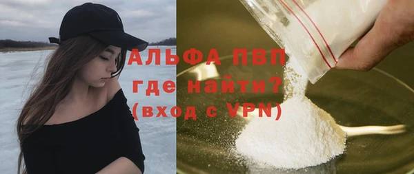 ГАЛЛЮЦИНОГЕННЫЕ ГРИБЫ Ельня