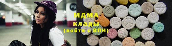 ГАЛЛЮЦИНОГЕННЫЕ ГРИБЫ Ельня