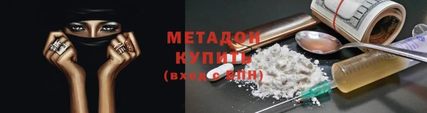 ГАЛЛЮЦИНОГЕННЫЕ ГРИБЫ Ельня