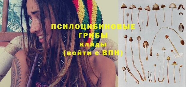 соль ск Елабуга