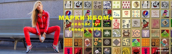 ГАЛЛЮЦИНОГЕННЫЕ ГРИБЫ Ельня
