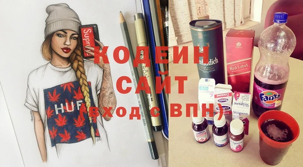 ГАЛЛЮЦИНОГЕННЫЕ ГРИБЫ Ельня