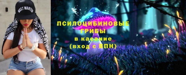 ГАЛЛЮЦИНОГЕННЫЕ ГРИБЫ Ельня
