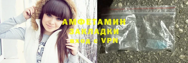 ГАЛЛЮЦИНОГЕННЫЕ ГРИБЫ Ельня