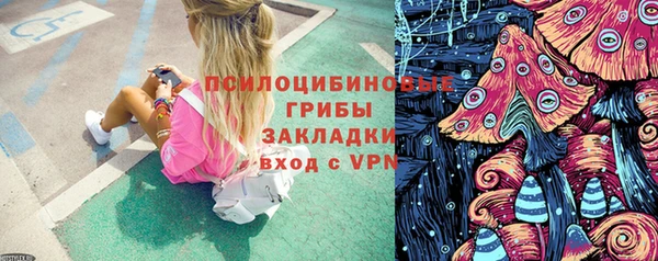 ГАЛЛЮЦИНОГЕННЫЕ ГРИБЫ Ельня