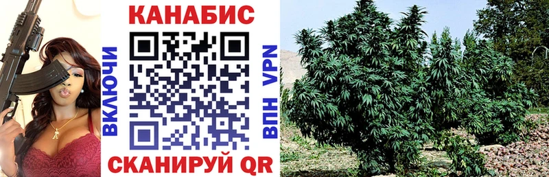 Купить где  Нурлат  Бошки Шишки конопля 